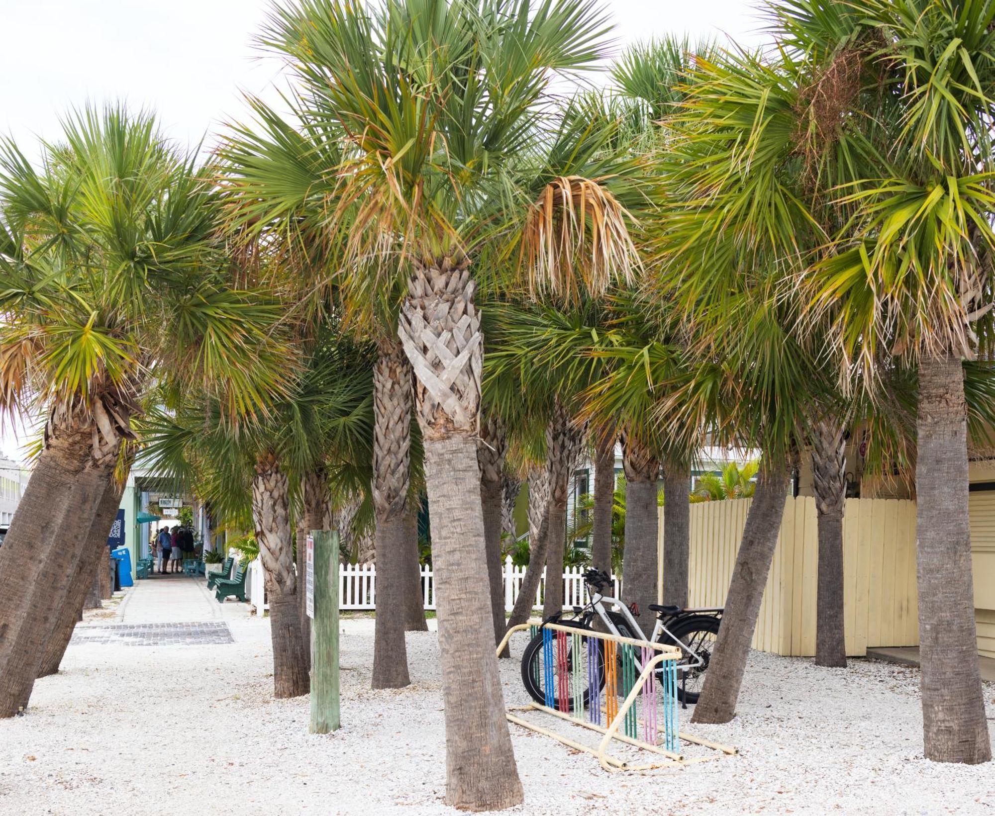 The Hotel Zamora St. Pete Beach Dış mekan fotoğraf