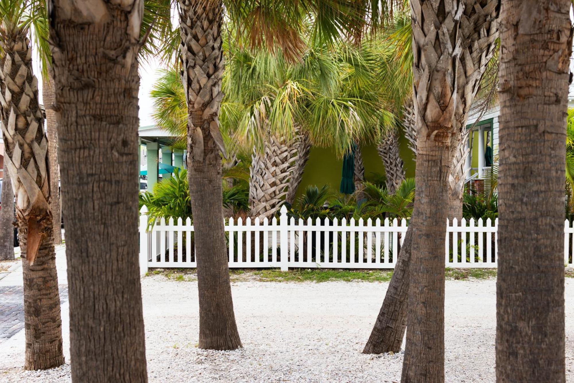The Hotel Zamora St. Pete Beach Dış mekan fotoğraf